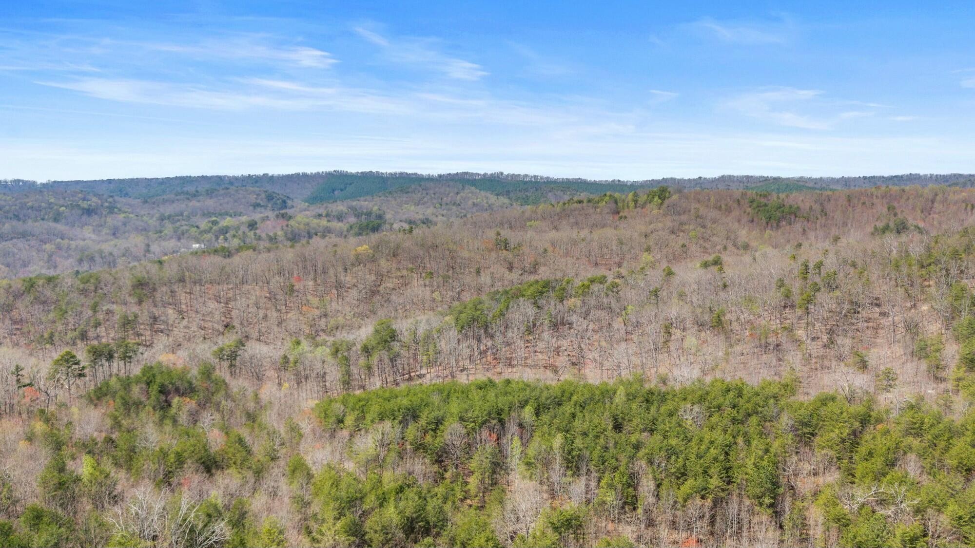0 Harrison Pike Southwest McDonald, TN 37353 - Photo 4 of 26
