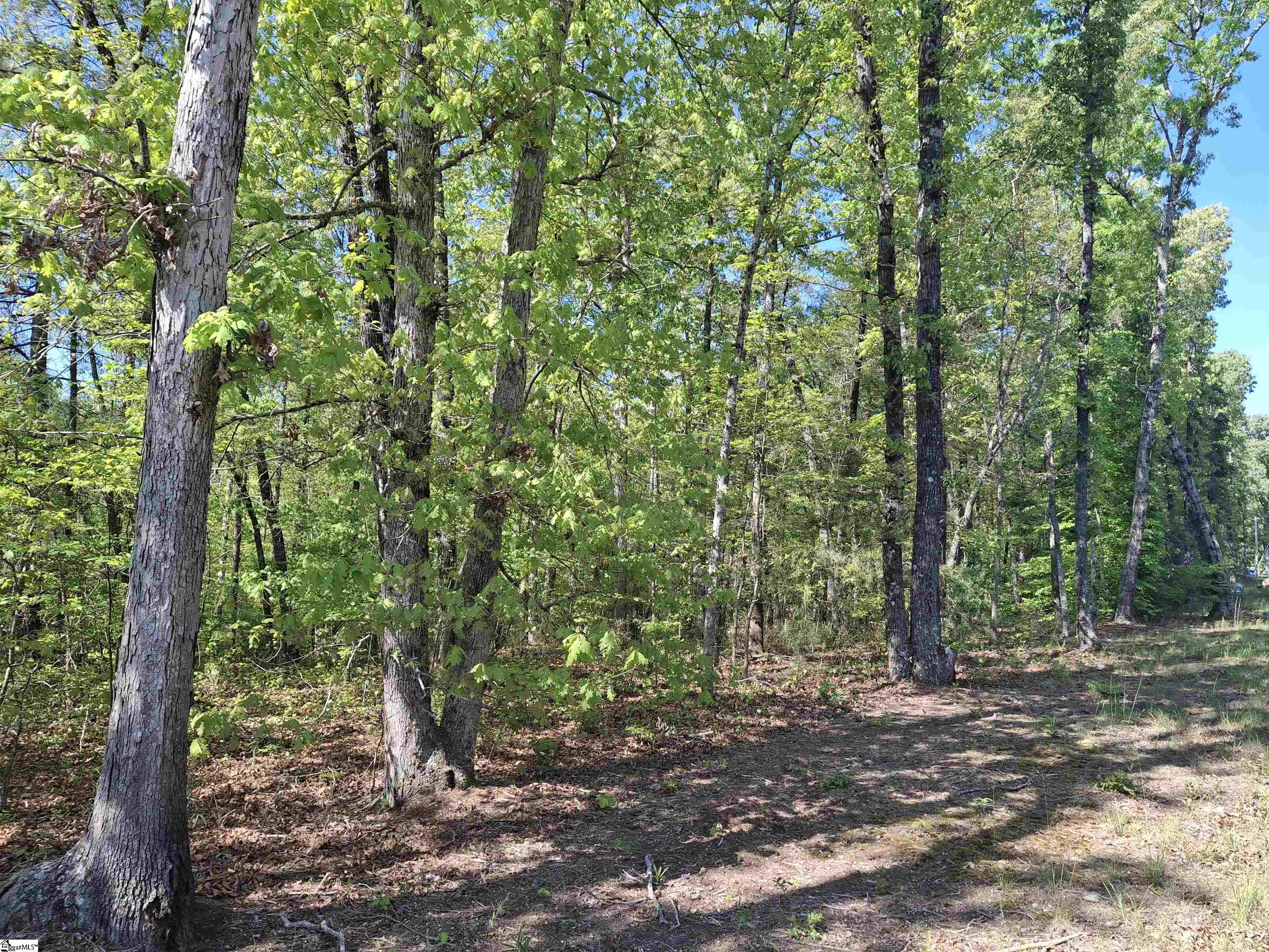 523 Flat Shoals Road Walhalla, SC 29691 - Photo 1 of 13