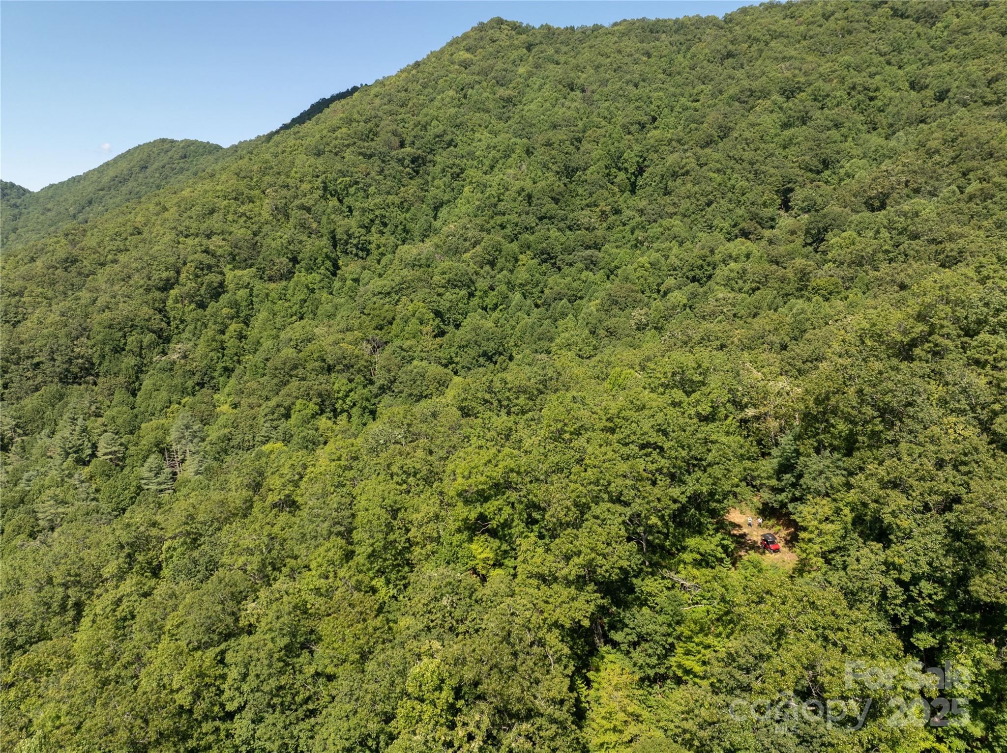 9999 Cindy Cove Road Robbinsville, NC 28771 - Photo 17 of 28