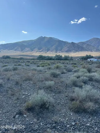 a view of a dry yard with mountains in the background