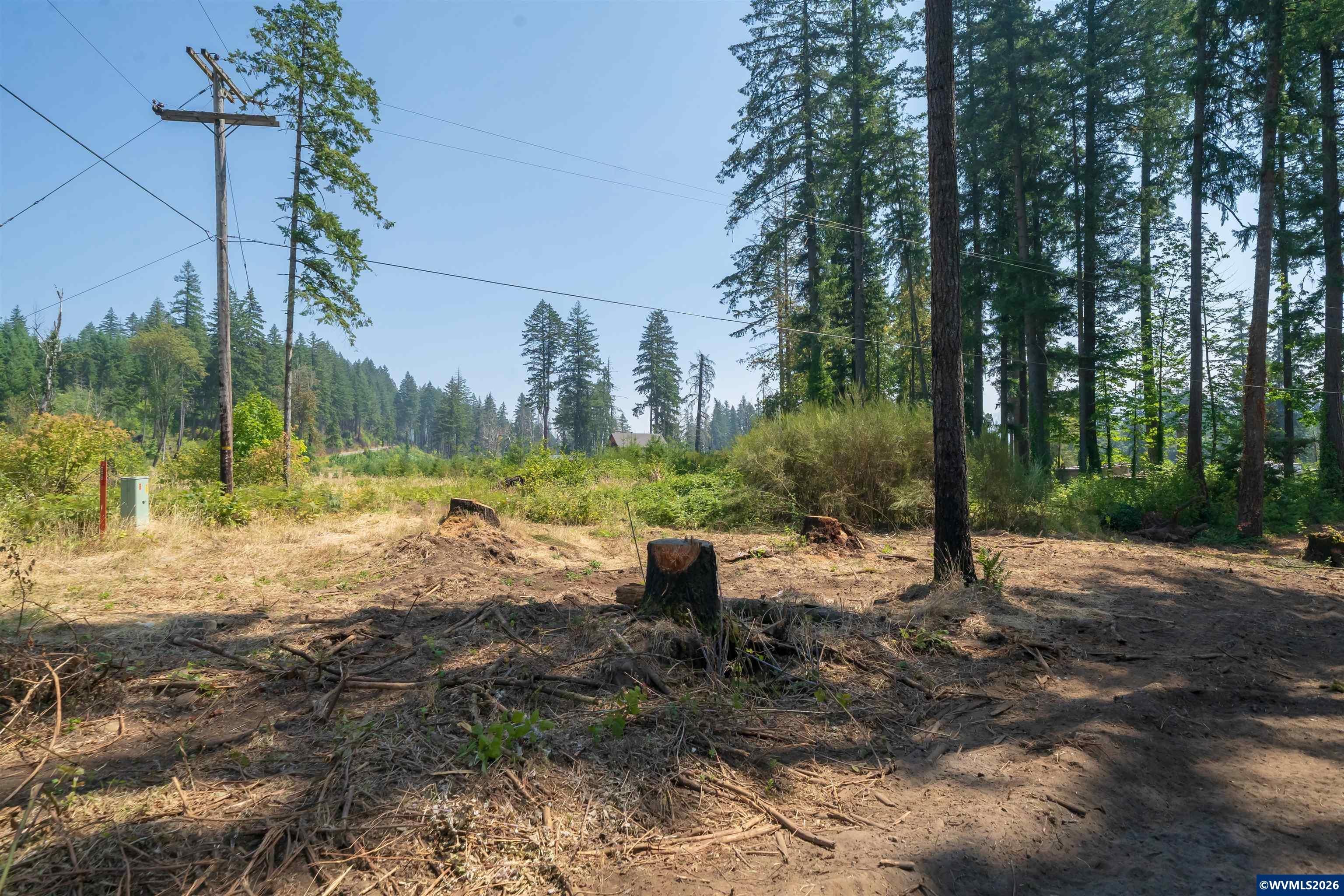 Lot 1101 Santiam Park Road Lyons, OR 97358 - Photo 9 of 18 Gallery Image 9