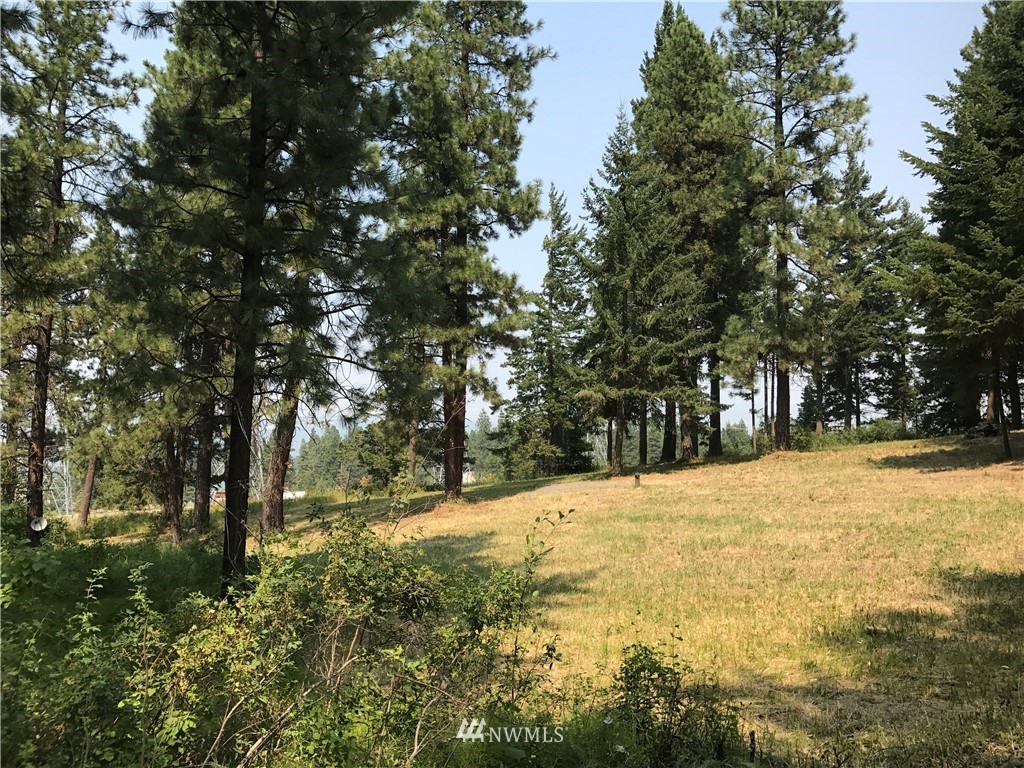 500 Markovich Road Cle Elum, WA 98922 - Photo 4 of 8 Gallery Image 4