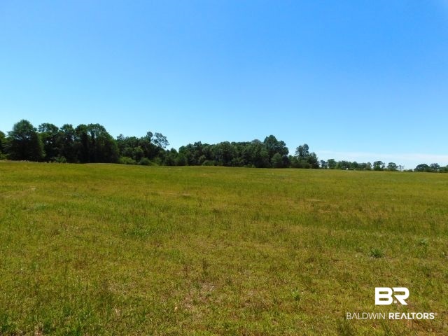 5884 Saroadine Road Brewton, AL 36426 - Photo 35 of 45