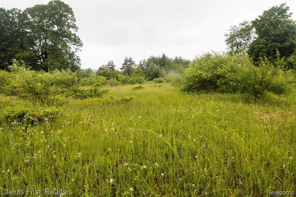 0 Veldkamp Road Central Lake, MI 49622 - Photo 5 of 22 Gallery Image 5