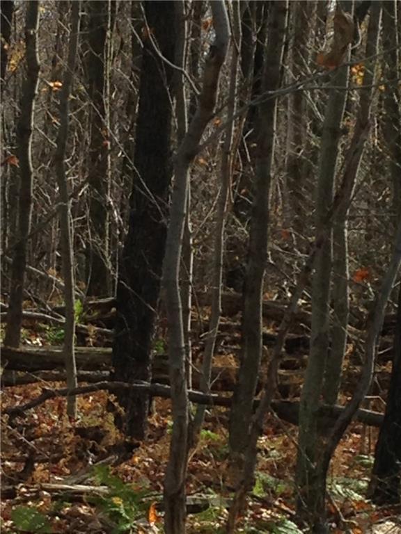 0 Shellbark Lane Armagh, PA 15920 - Photo 2 of 5