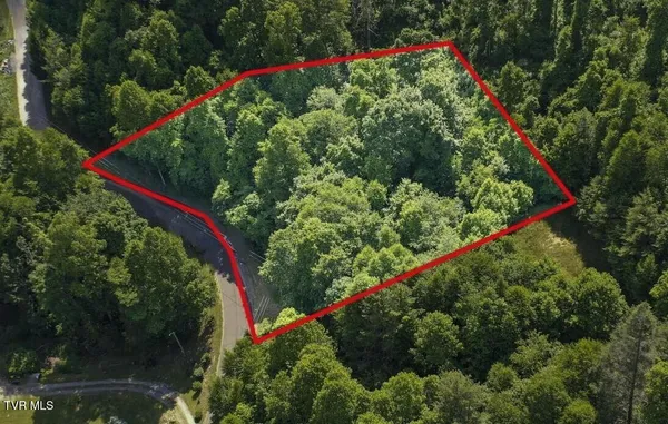 $39,900 | Lot 7 Laurel Highlands Road, Unit LOT 7, Roan Mountain, TN 37687