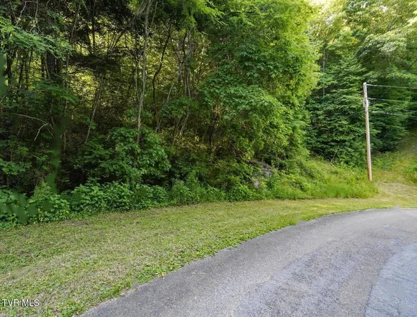 $39,900 | Lot 7 Laurel Highlands Road, Unit LOT 7, Roan Mountain, TN 37687