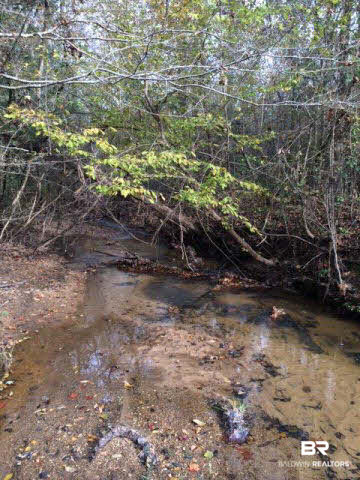 6102 Drewry Road Repton, AL 36475 - Photo 7 of 7
