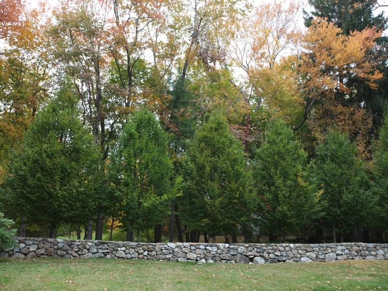 359 West Road New Canaan, CT 06840 - Photo 29 of 31 Stone Wall