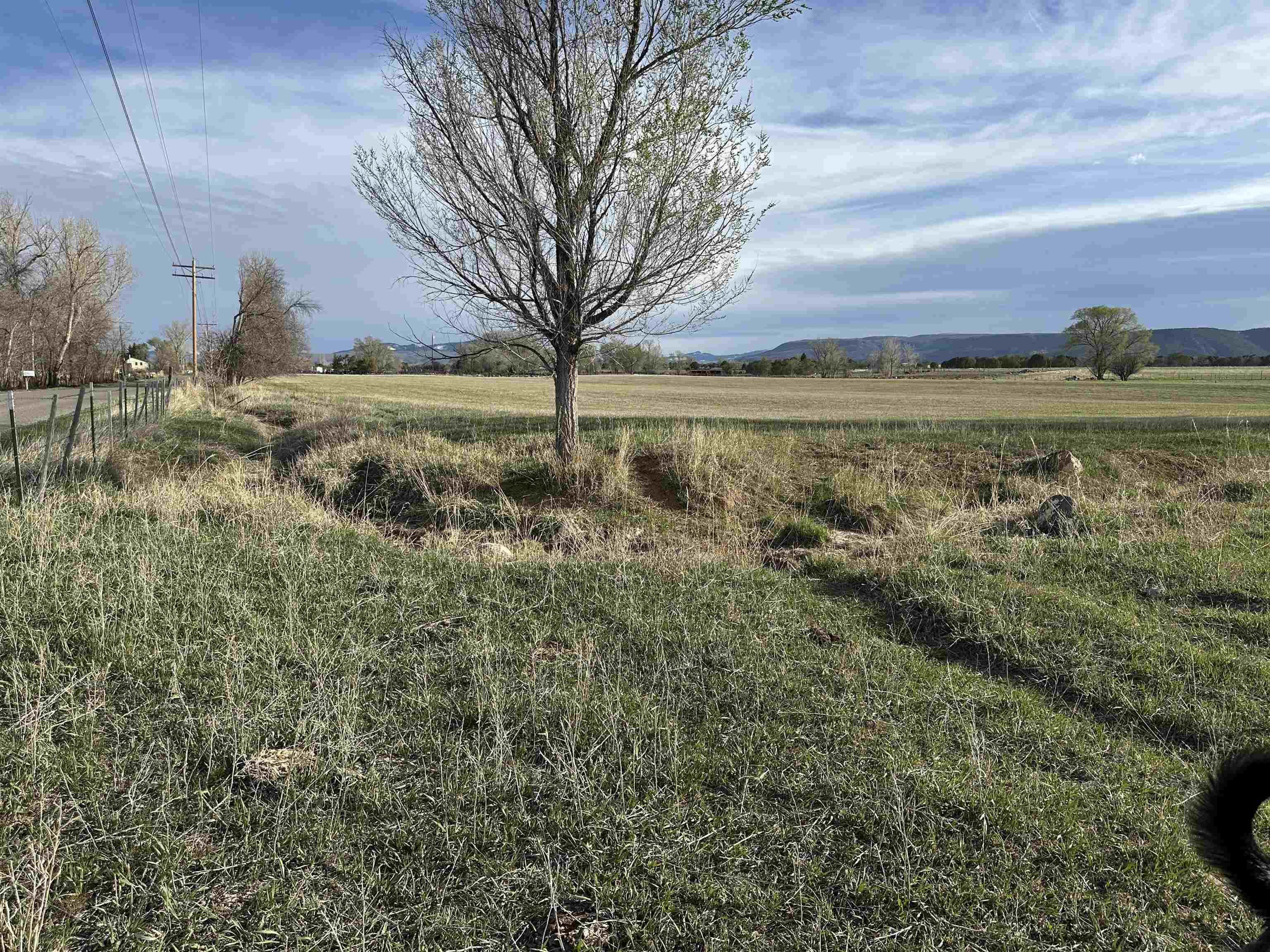 Tbd Tbd 2900th Road Hotchkiss, CO 81419 - Photo 8 of 8 a view of a yard with a house