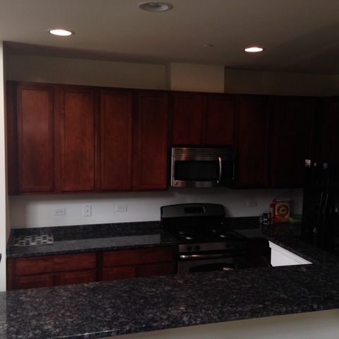 9 Willow Road, Unit 9 Wheeling, IL 60090 - Photo 4 of 22