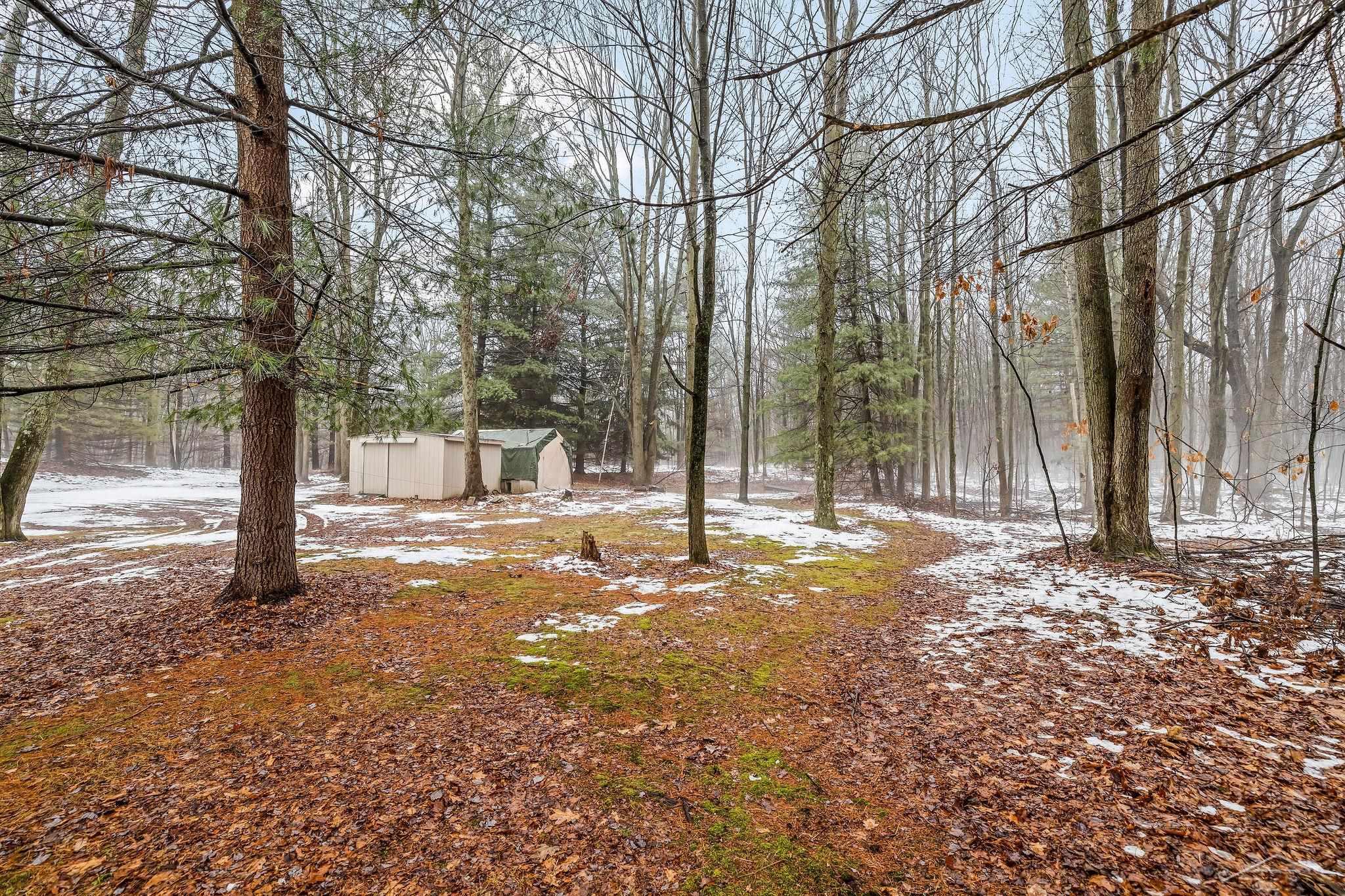 2817 North Carter Road Pinconning, MI 48650 - Photo 9 of 42