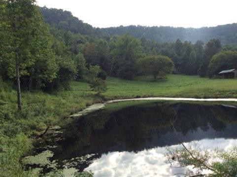 9999 Radford Hollow Road Berea, KY 40403 - Photo 2 of 17 Photo 2