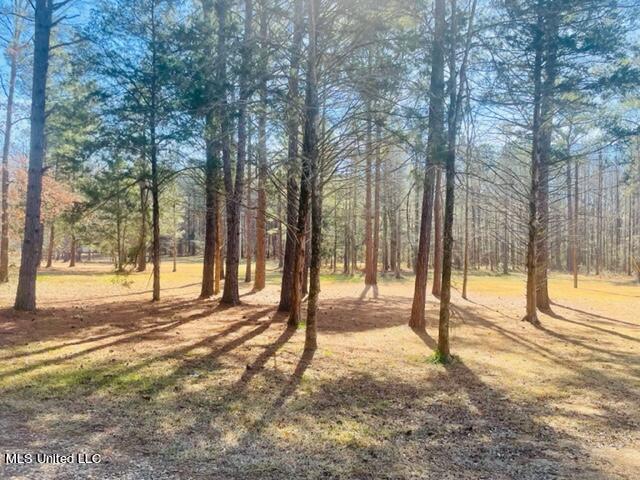 130 Hickory Ridge Cove Raymond, MS 39154 - Photo 6 of 36 FullSizeRender