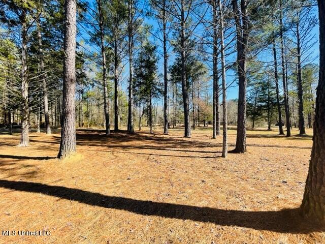 130 Hickory Ridge Cove Raymond, MS 39154 - Photo 8 of 36 FullSizeRender