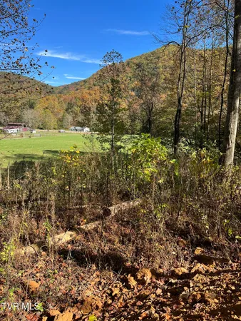 $389,900 | 724 Dry Creek Road, Unit TR3 & TR4, Jonesborough, TN 37659