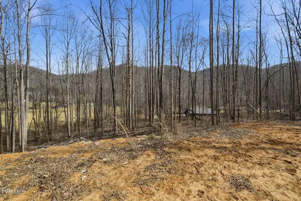 $389,900 | 724 Dry Creek Road, Unit TR3 & TR4, Jonesborough, TN 37659