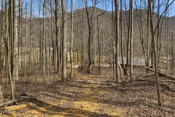$389,900 | 724 Dry Creek Road, Unit TR3 & TR4, Jonesborough, TN 37659