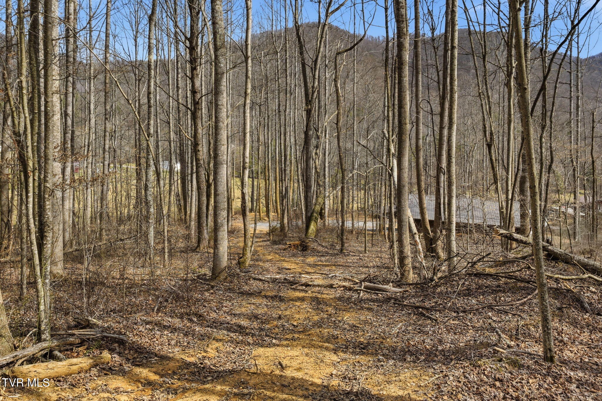 724 Dry Creek Road, Unit TR3 & TR4 Jonesborough, TN 37659 - Photo 20 of 34 5-web-or-mls-720 Dry Creek Rd-13