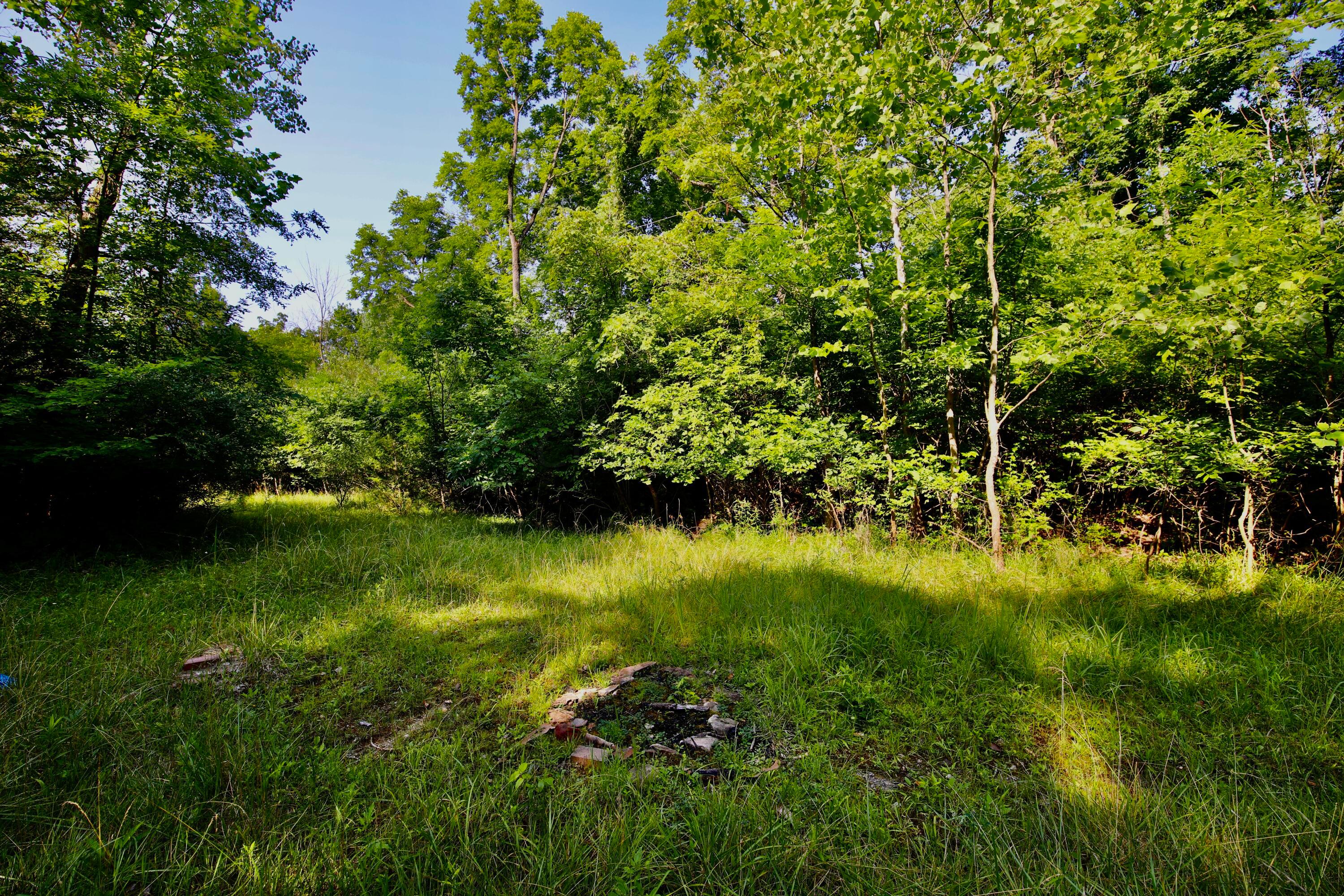 538 Armstrong Road Delaware, OH 43015 - Photo 106 of 109 6K3A4006