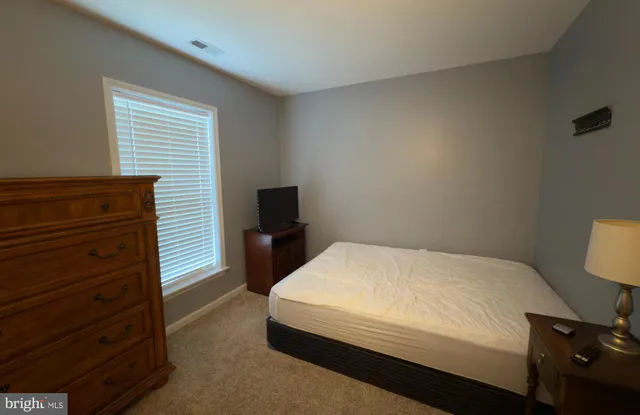 a bedroom with a bed and a television