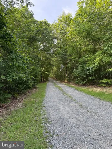 a view of a yard with a trees