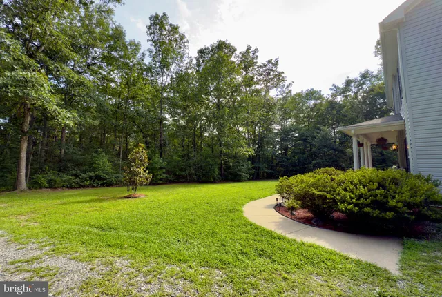 a view of a garden with large trees