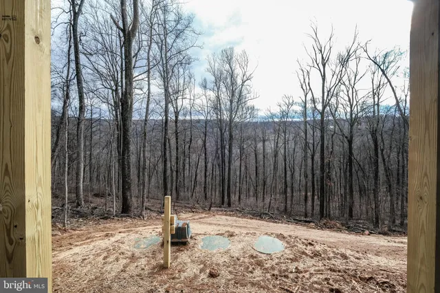 a view of a house with a yard and plants