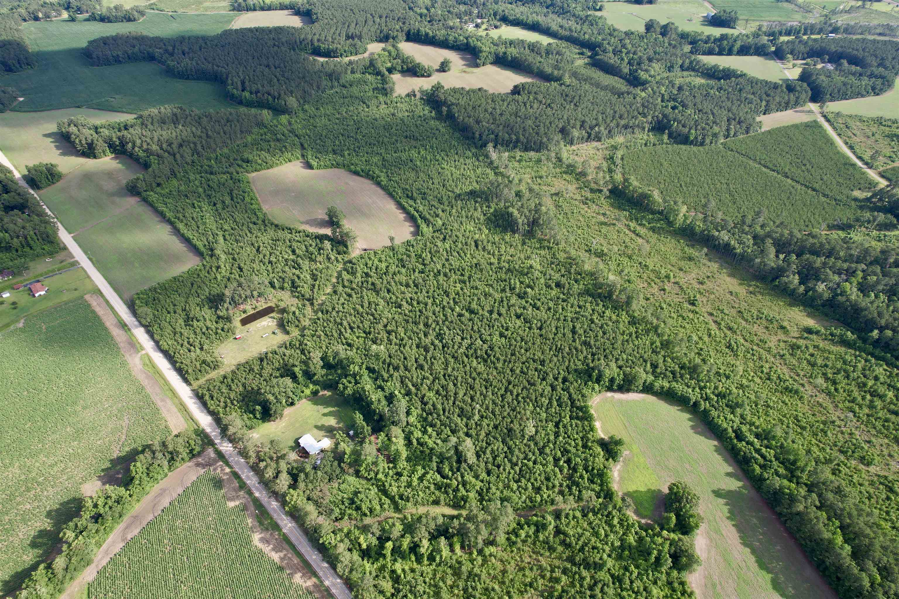85-acres - Muddy Creek Road Hemingway, SC 29554 - Photo 23 of 31