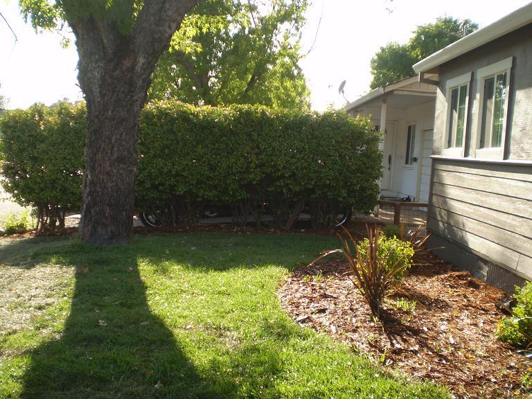 1013 Layton Road Redding, CA 96002 - Photo 3 of 15 a backyard of a house with lots of green space