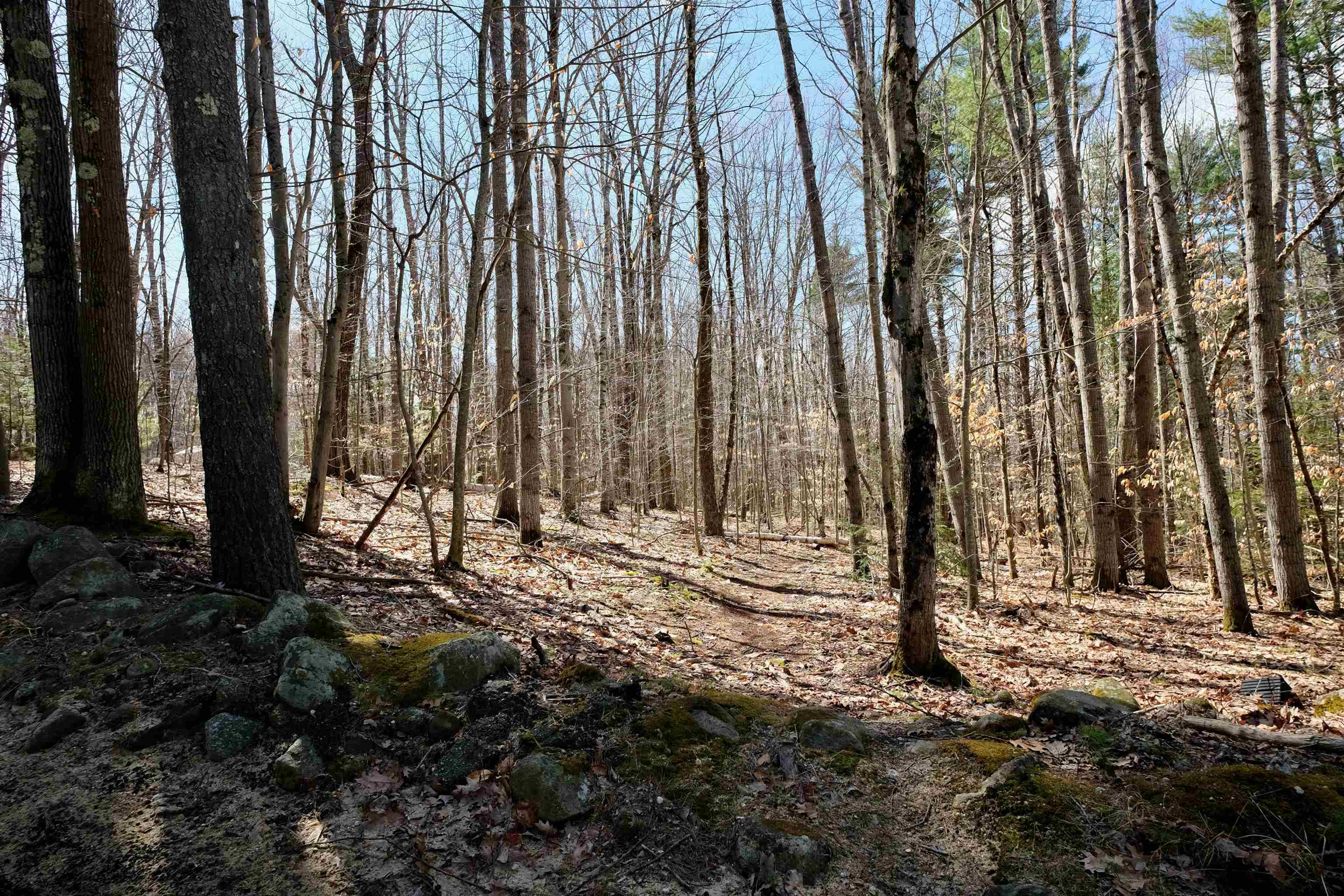 111 Page Road Bow, NH 03304 - Photo 2 of 3