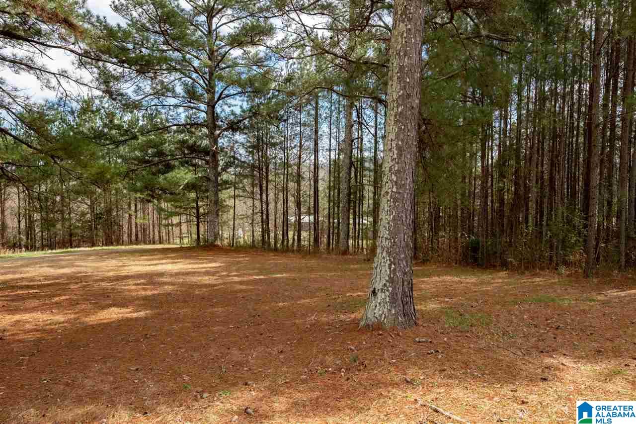 1295 Crawford Cove Road Springville, AL 35146 - Photo 21 of 27