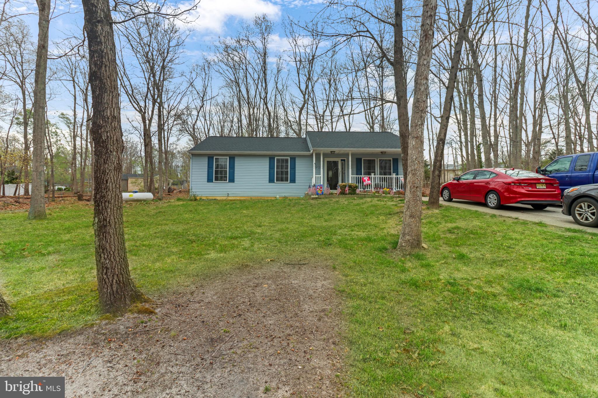 321 Thompson Avenue Chesilhurst, NJ 08089 - Photo 5 of 45 grass digitally enhanced