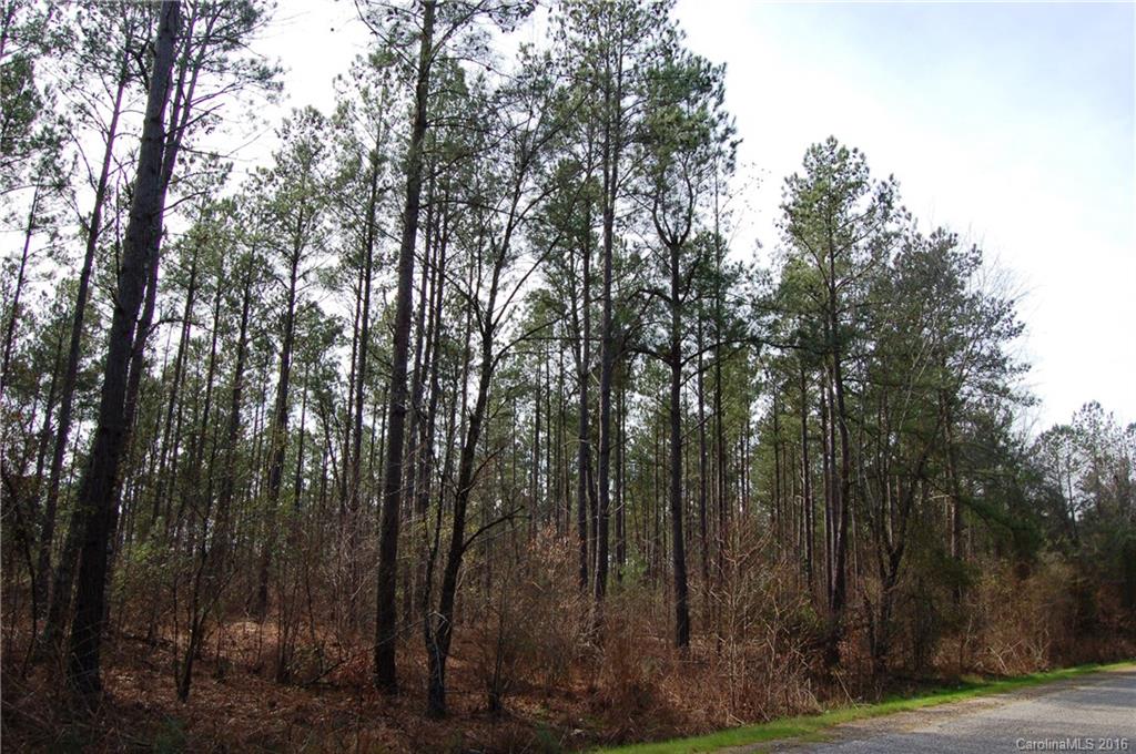 33.78-acres Littlejohn Road Gaffney, SC 29340 - Photo 2 of 2