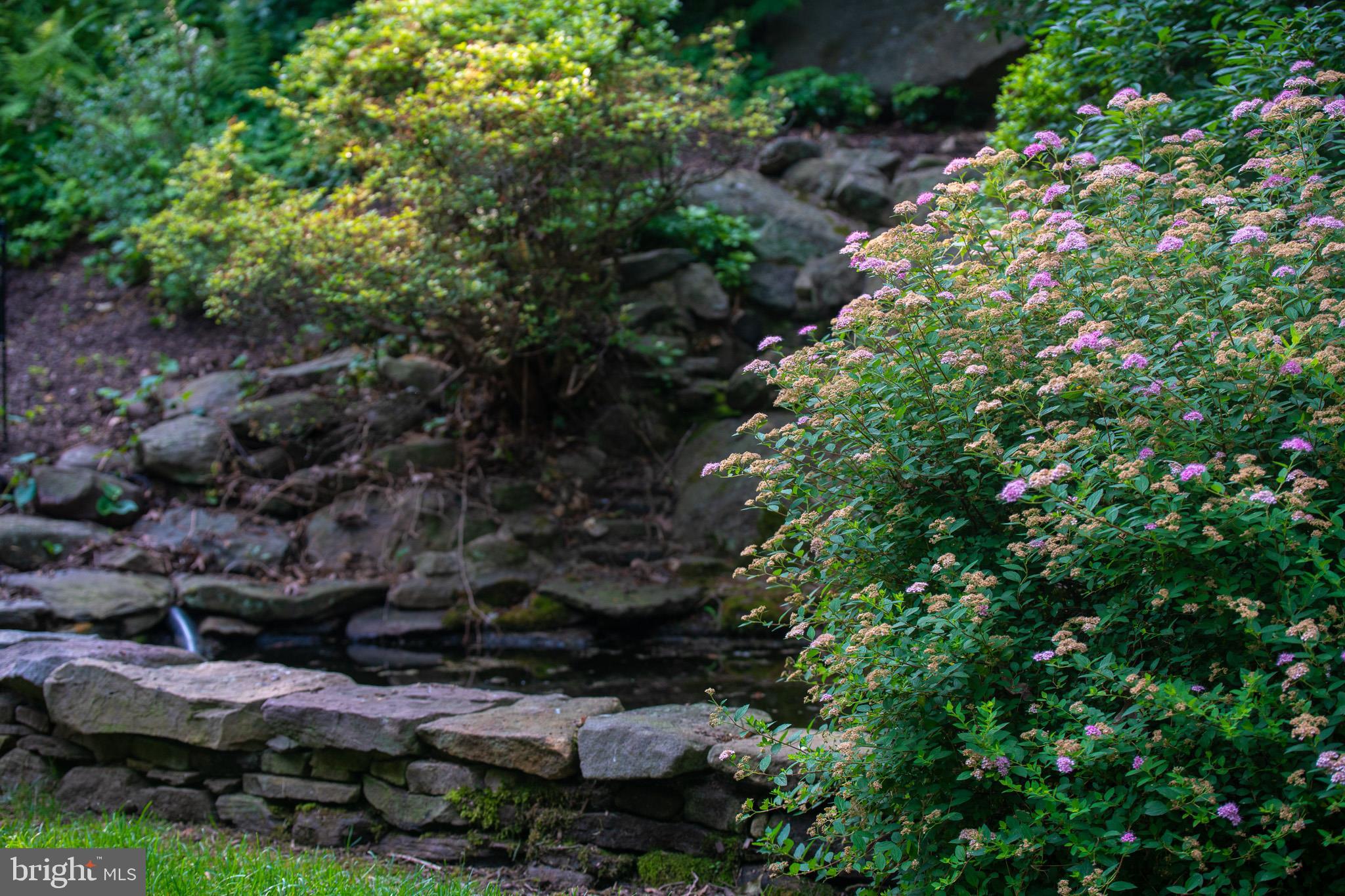 1550 Mt Pleasant Road Villanova, PA 19085 - Photo 34 of 38 Pond.