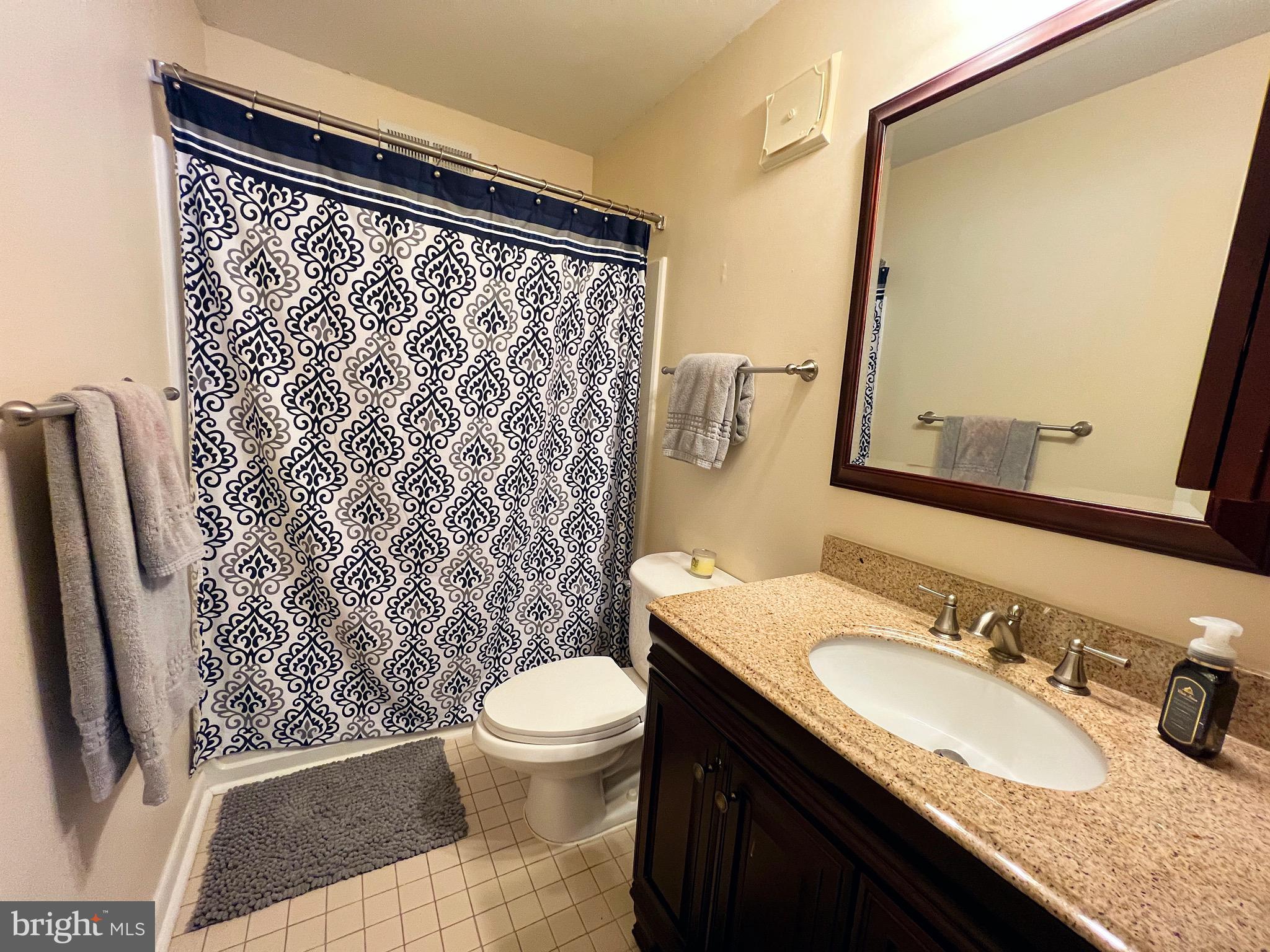 1610 Valencia Way Reston, VA 20190 - Photo 11 of 19 Primary Bathroom
