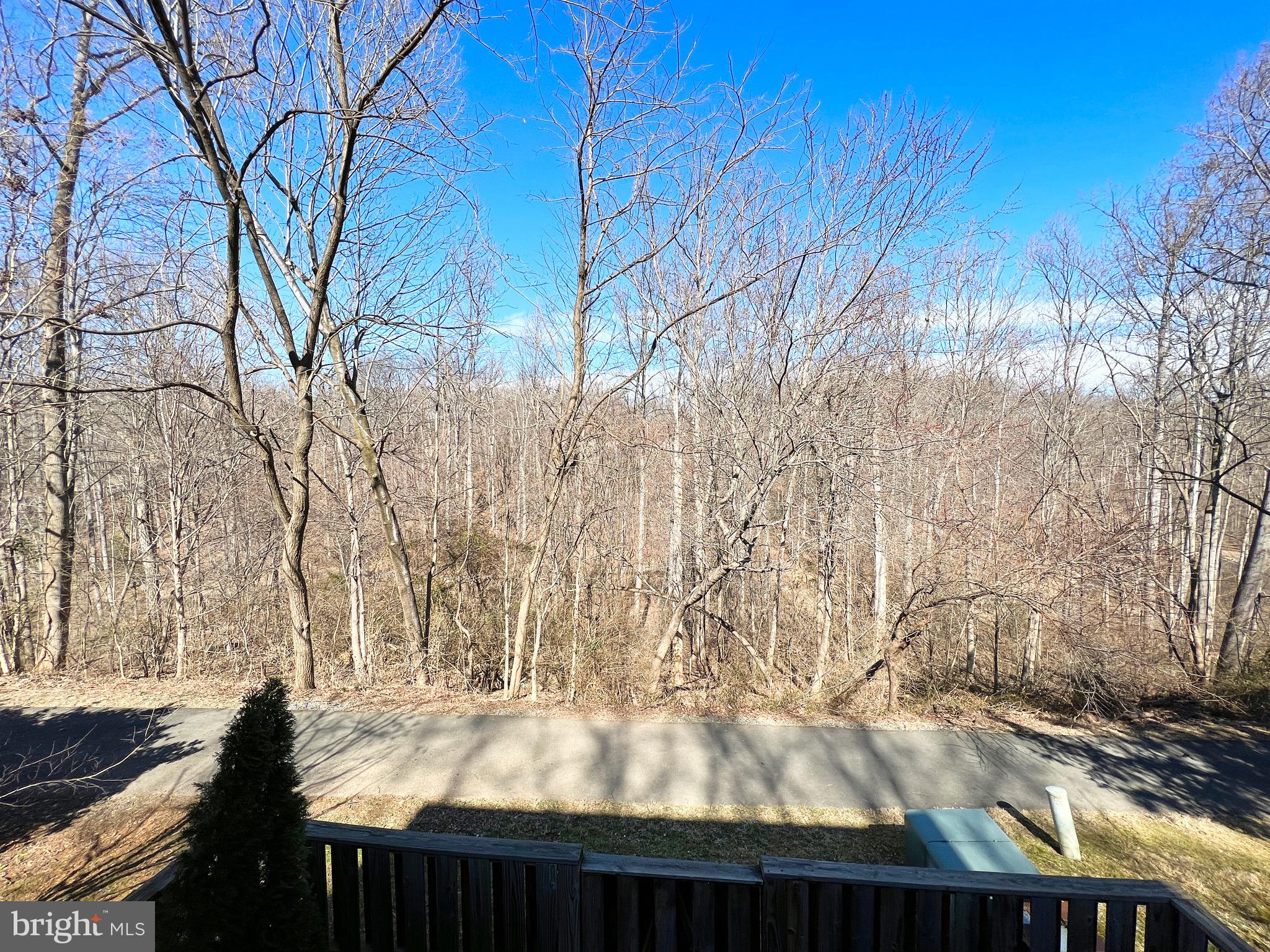 1610 Valencia Way Reston, VA 20190 - Photo 7 of 19 Private Backyard View off the deck