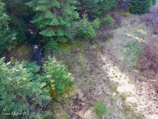 Nna East Bell Canyon Road Harrison, ID 83833 - Photo 16 of 22 Creek & Meadow