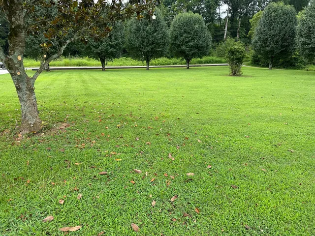 $679,900 | 305 Medlin Pike, Evensville, TN 37332