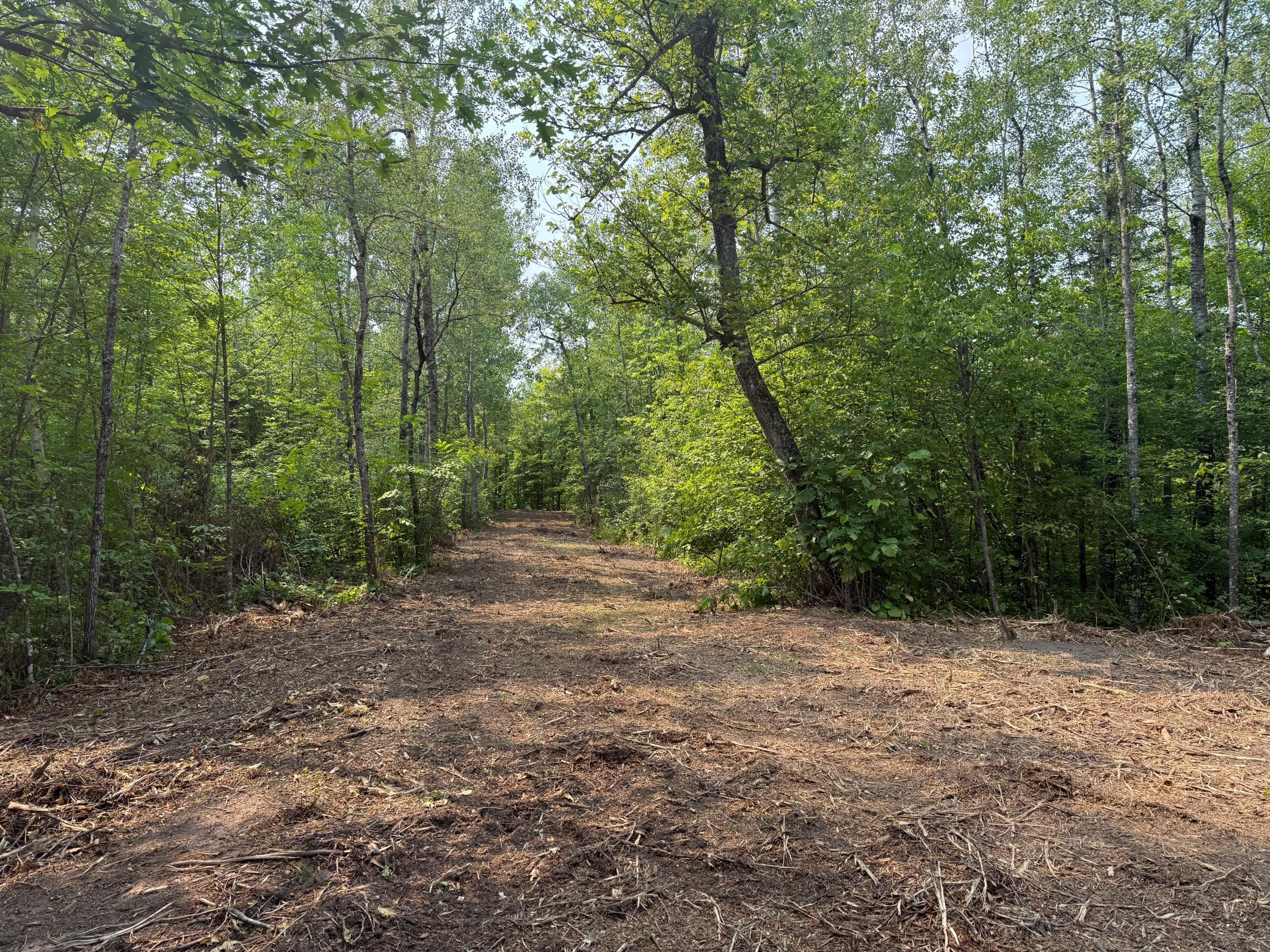 3854 Rasmussen Road Wright, MN 55798 - Photo 20 of 39 Gallery Image 20