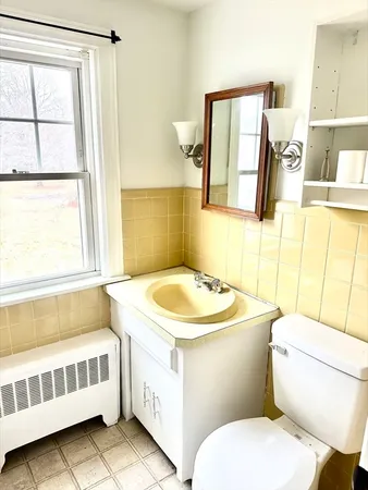 a bathroom with a sink a toilet and mirror