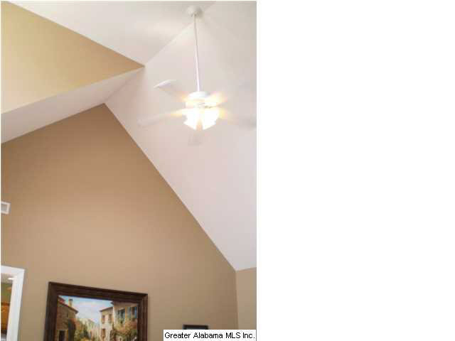 217 Beaver Ridge Circle Ashville, AL 35953 - Photo 10 of 32