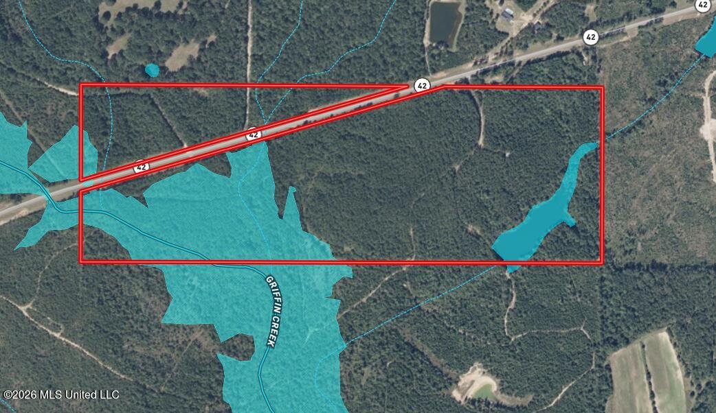 42 Mississippi State Line, MS 39362 - Photo 83 of 87 Flood Map