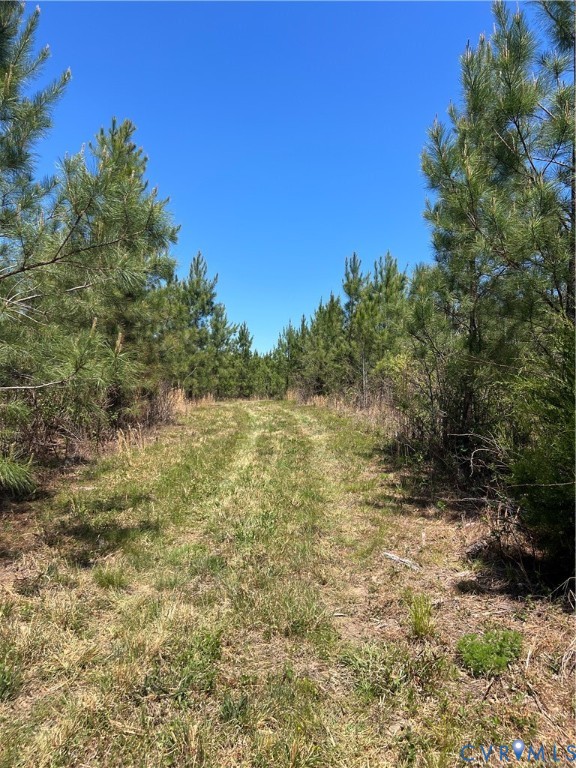 0 Courthouse Road Louisa, VA 23093 - Photo 28 of 33