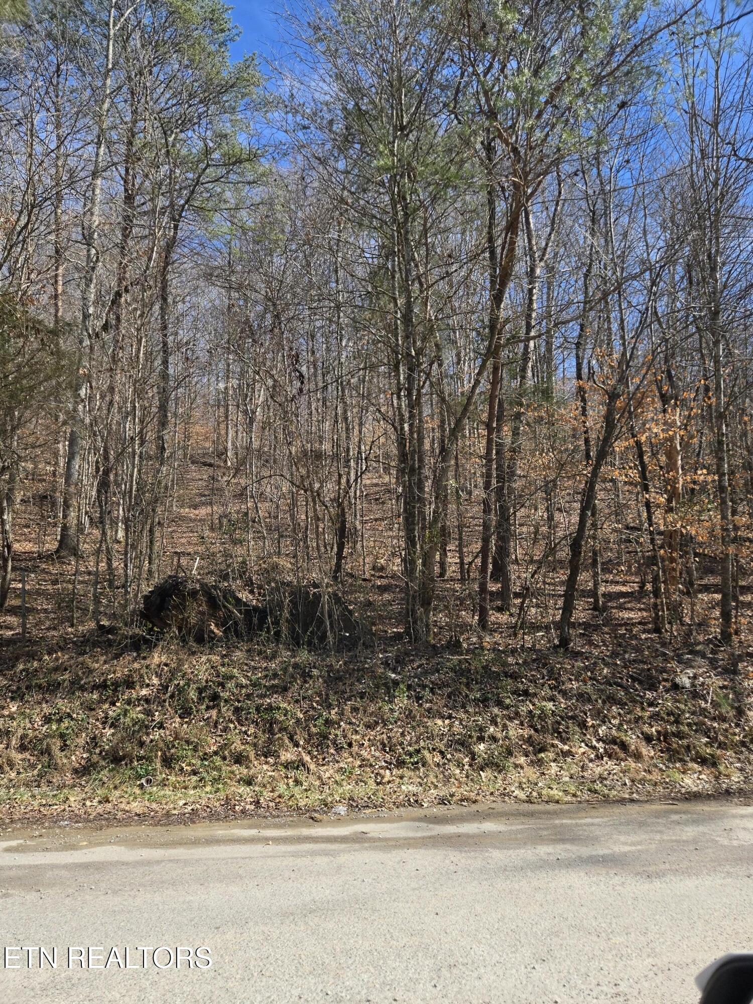 204 Archer Road Luttrell, TN 37779 - Photo 1 of 15 20260220_132010