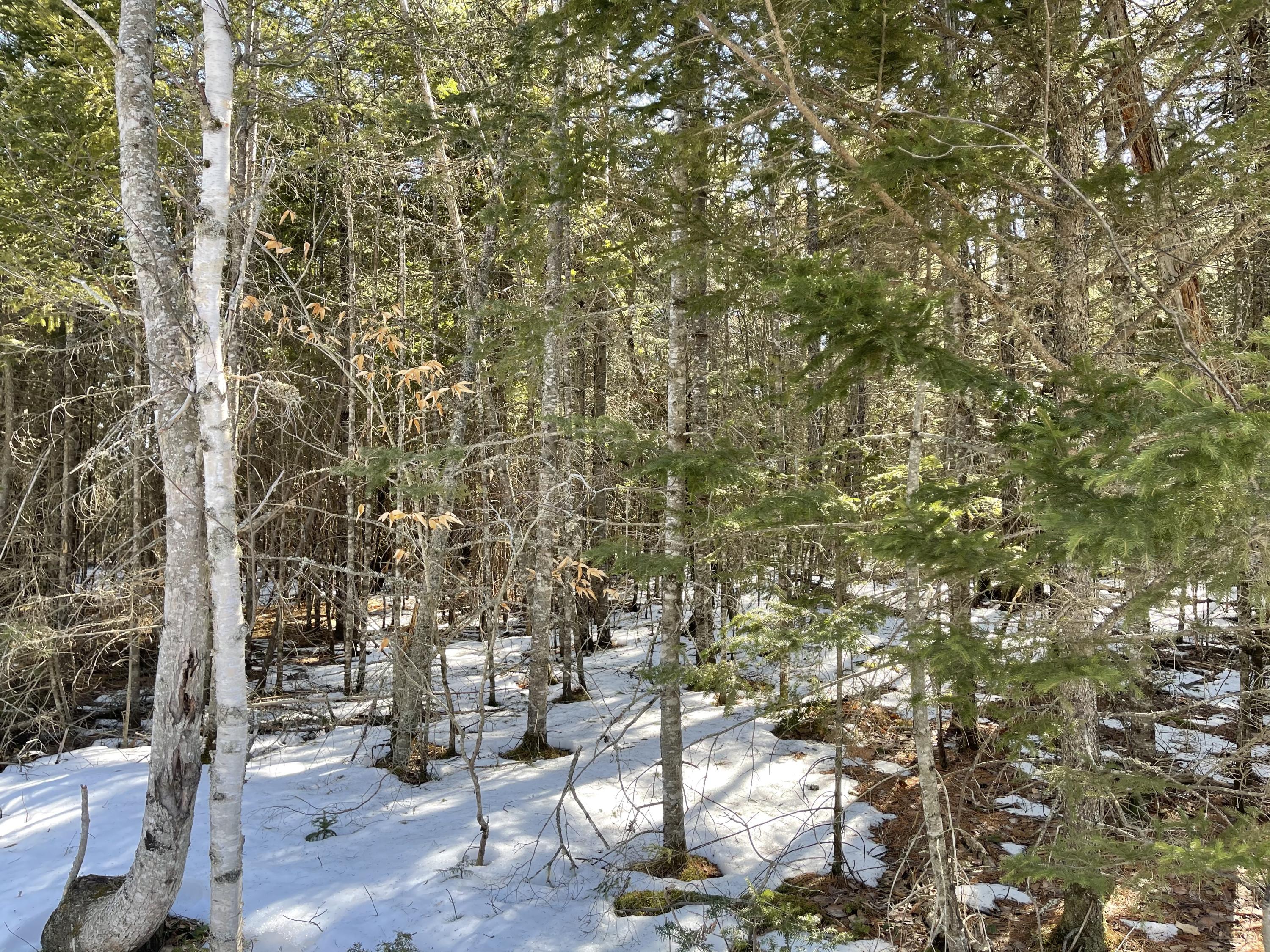 63-64 Kettle Ridge Northfield, ME 04654 - Photo 17 of 19 IMG-0790
