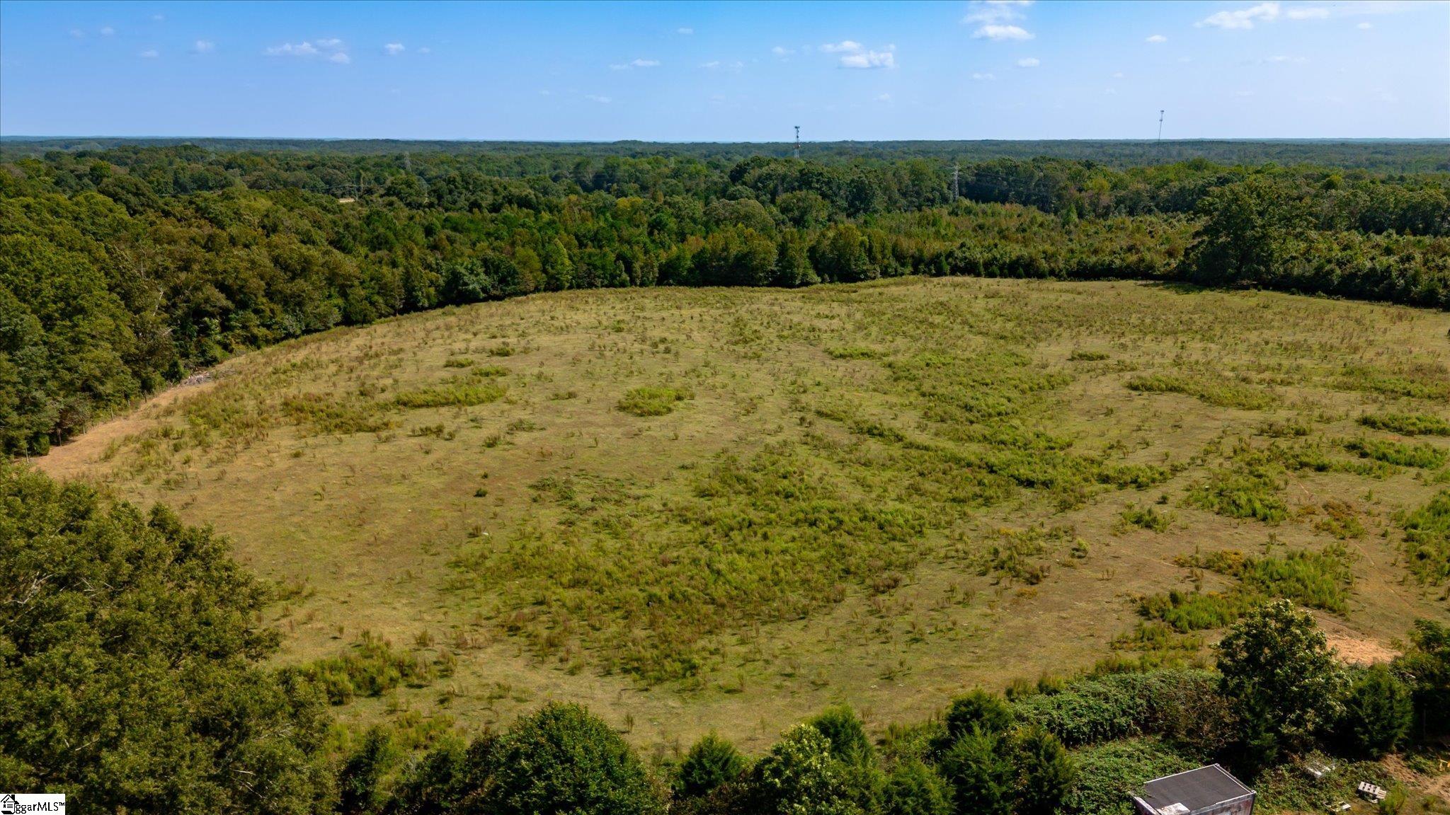 169 Cooley Bridge Road Pelzer, SC 29669 - Photo 15 of 24