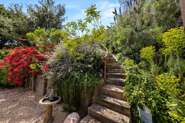 a view of a backyard with plants