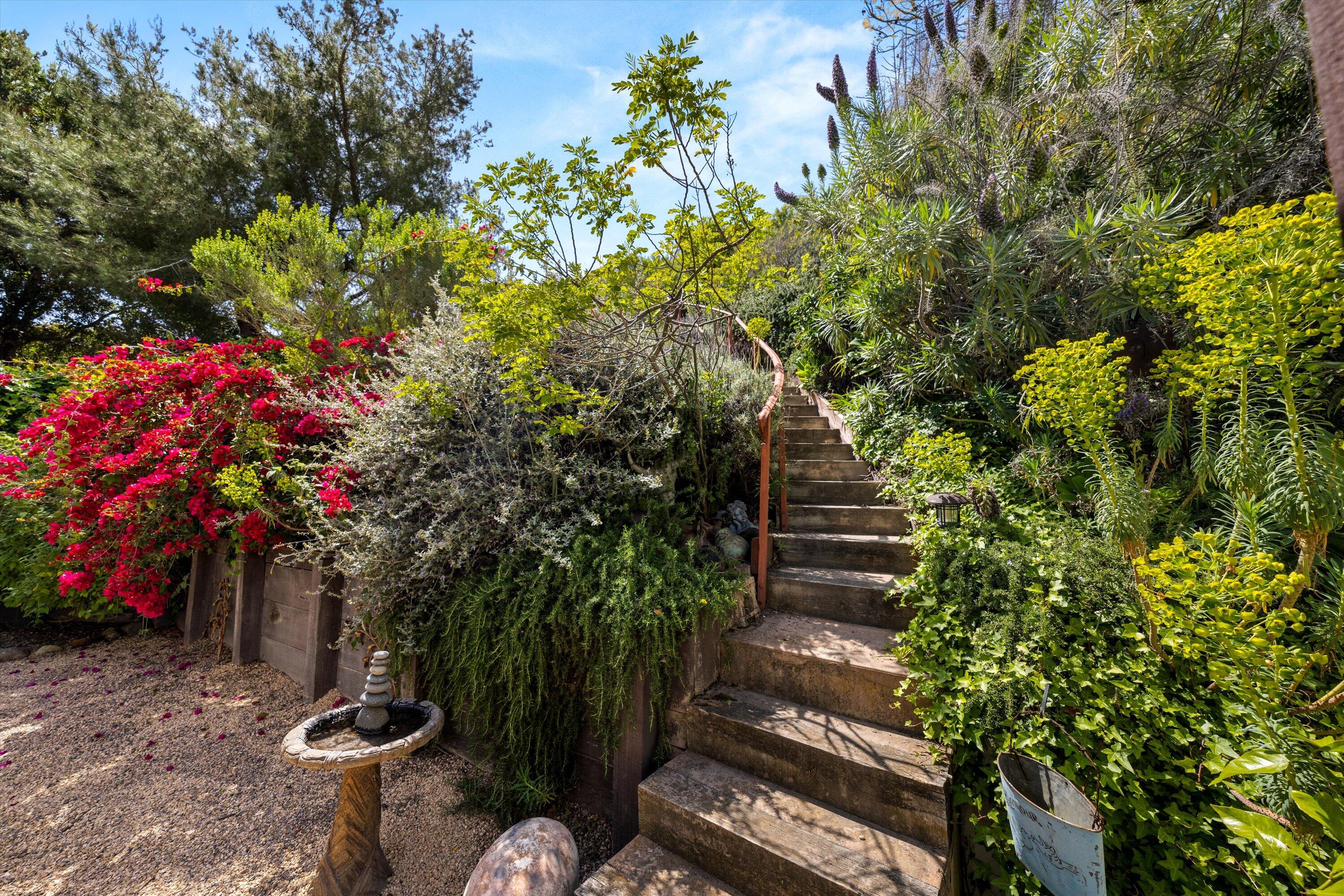 1435 Sycamore Canyon Road Santa Barbara, CA 93108 - Photo 35 of 49 a view of a backyard with plants