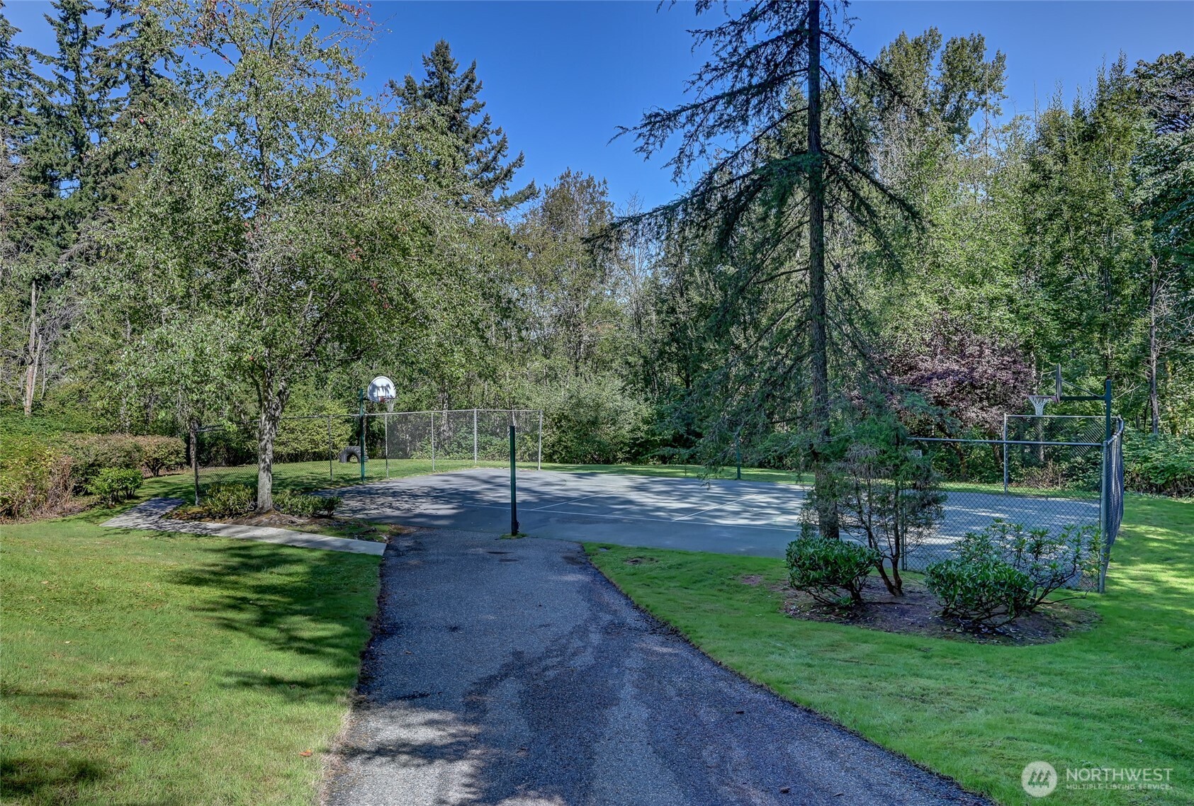 12109 Northeast 171st Place, Unit B103 Bothell, WA 98011 - Photo 30 of 39 a view of a park with large trees